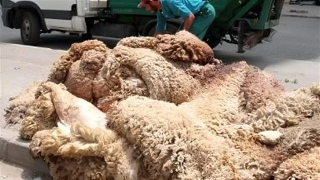خريطة العطلات.. تفاصيل ضوابط العمل قبل عيد الأضحى 2026
